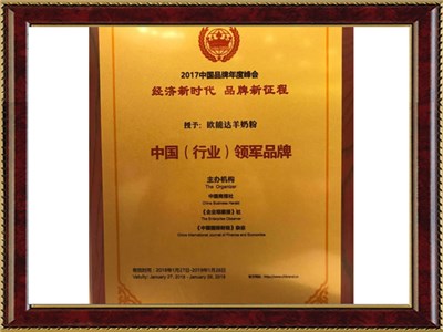 中國行業(yè)領(lǐng)軍品牌