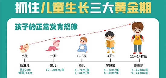 兒童生長發育的三大黃金期